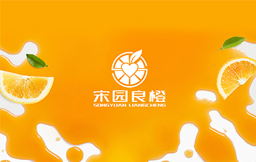 某良橙——苏州LOGO设计